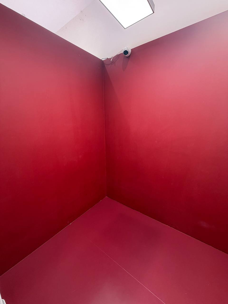 Phông trong room2
